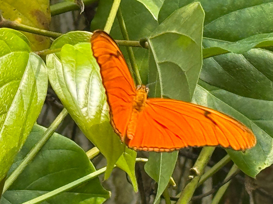 Jardin Botanique du Beau Pays-Marck必去景点