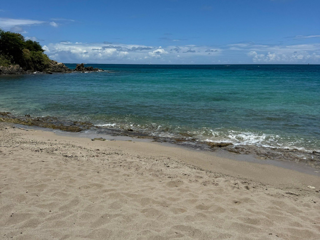 Bluebeard's Beach-East End必去景点