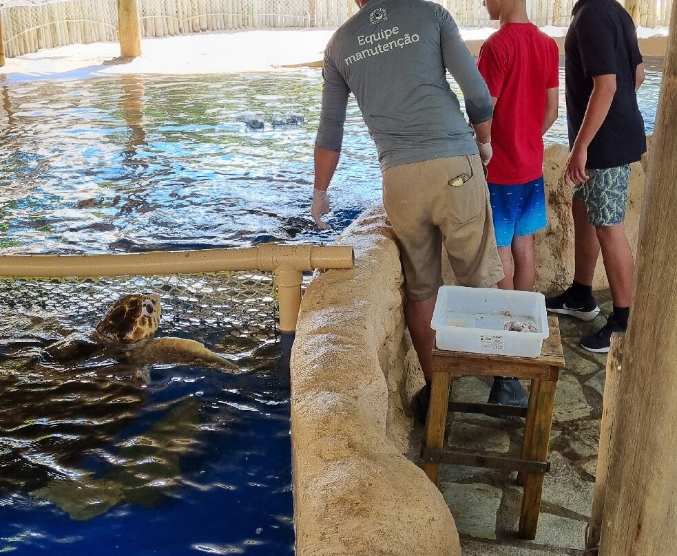 Oceanário de Aracaju-阿拉卡茹必去景点