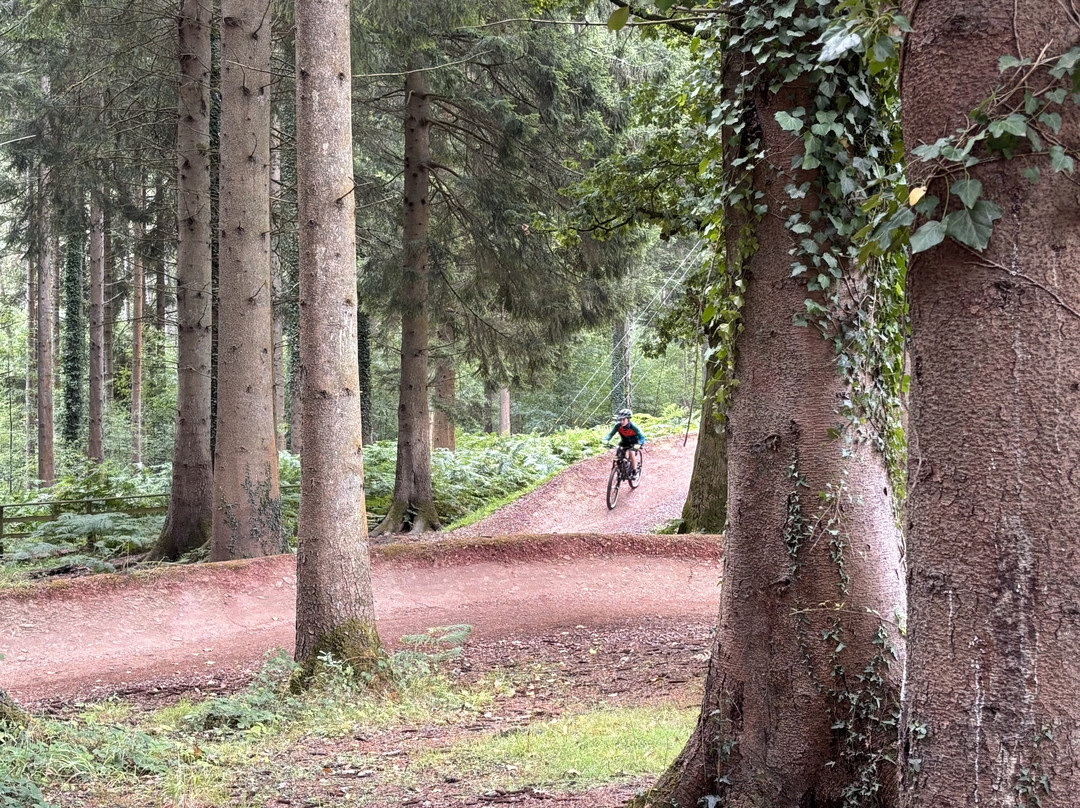 Forest of Dean Cycle Centre-Coleford必去景点