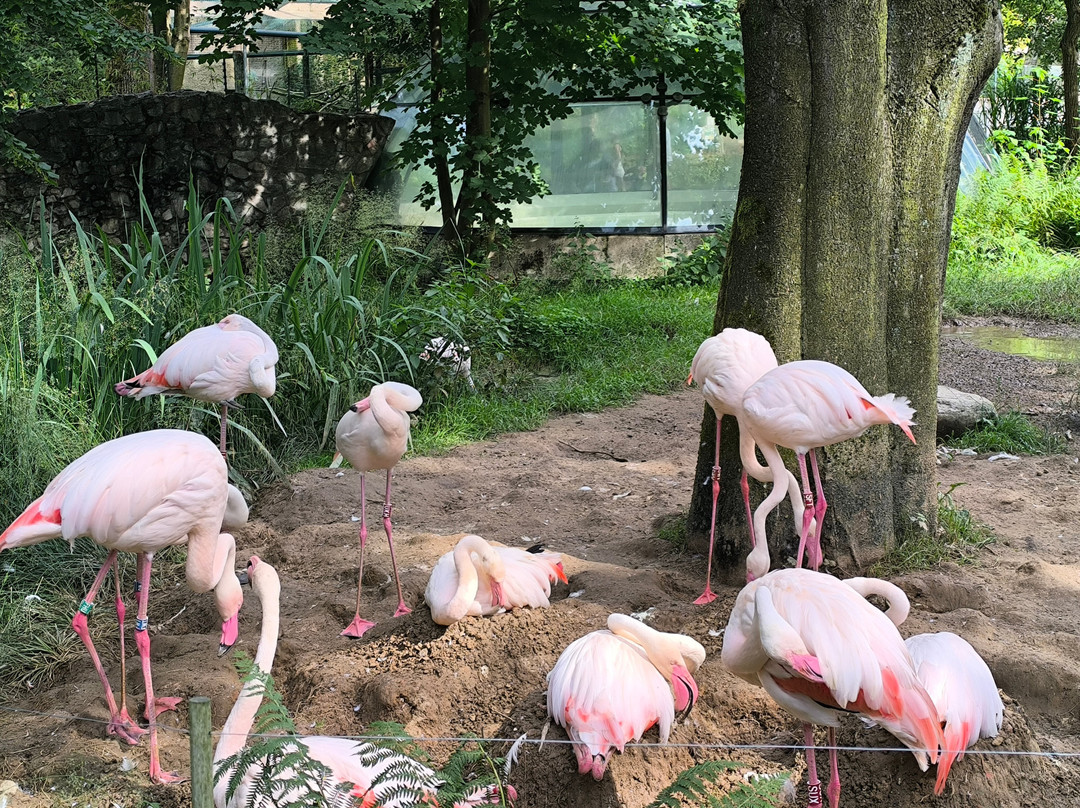 Zoo Liberec-利贝雷茨必去景点
