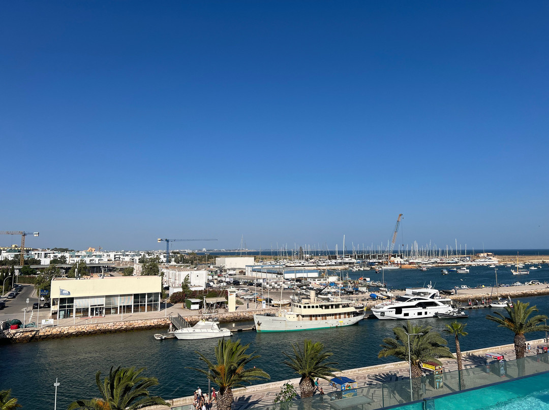 Lagos Avenida Hotel主图