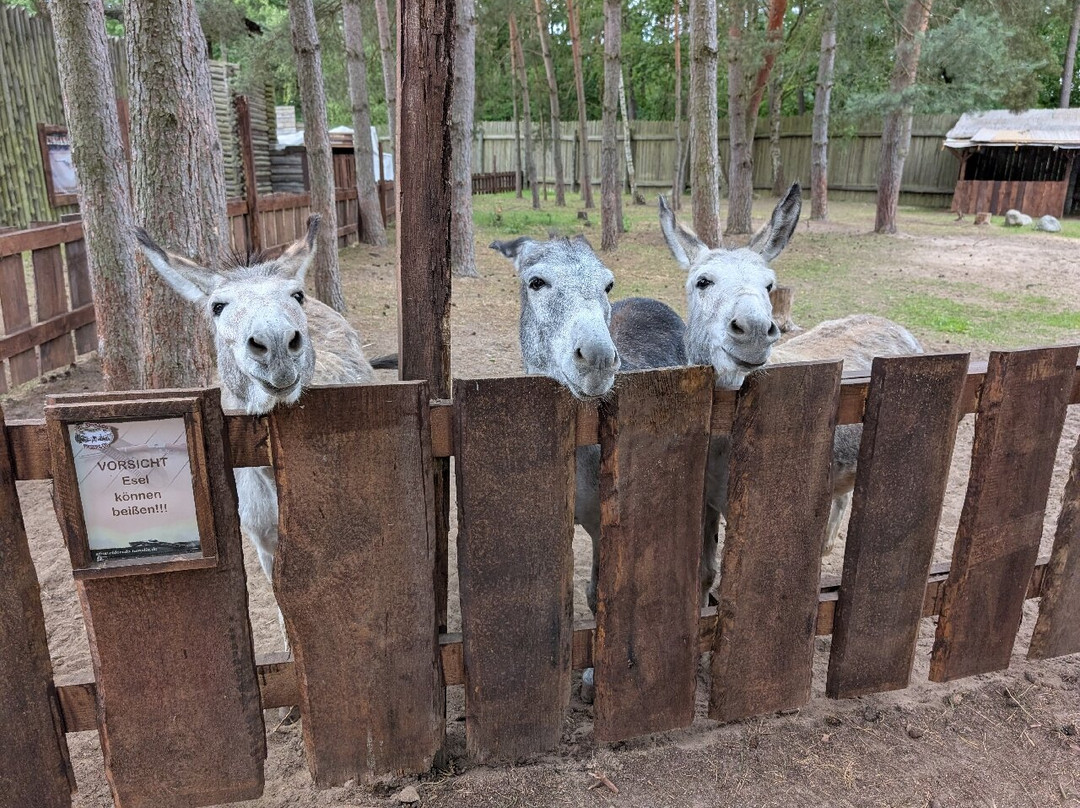 El Dorado Templin-Templin必去景点