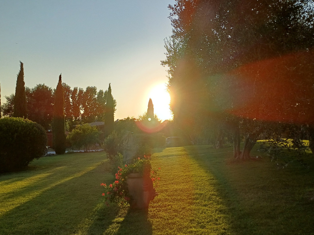 Agriturismo Casa Degli Ulivi主图