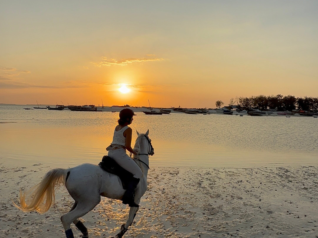Zanzibar Horse Club-孥归必去景点