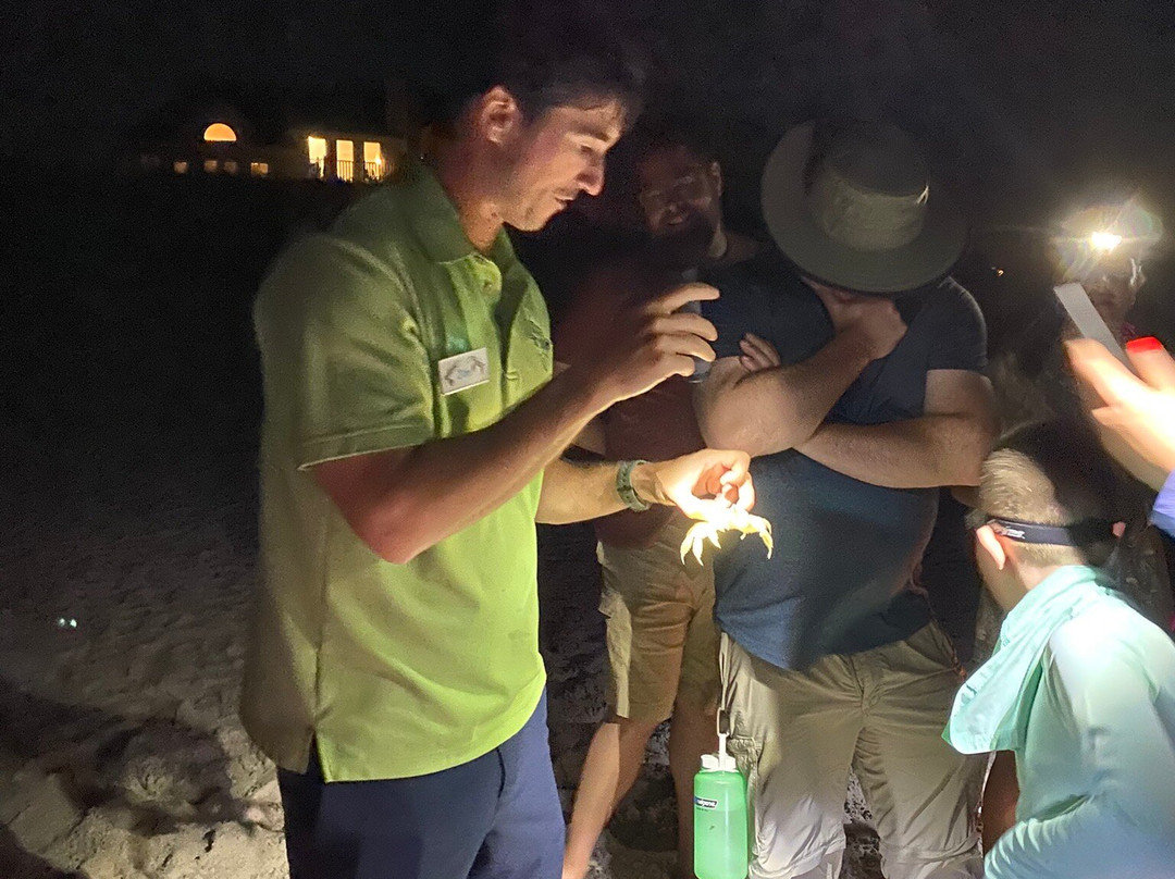 Ghost Crab Quest-Kitty Hawk必去景点