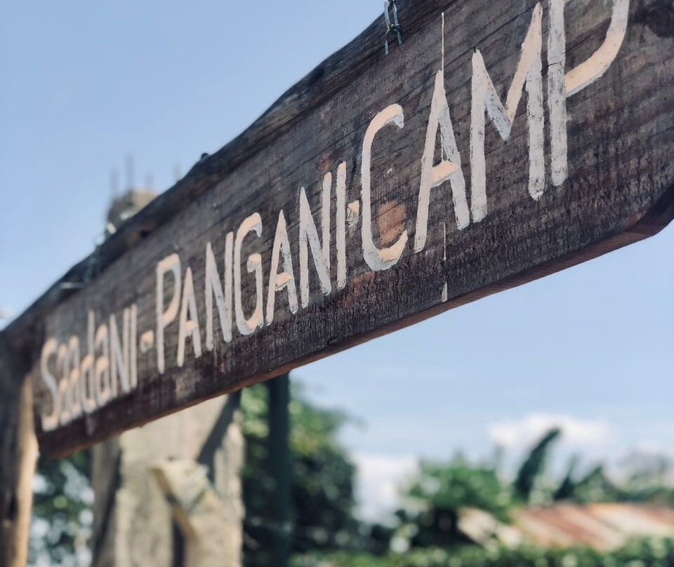 Saadani Pangani Camps And Tours-Pangani必去景点