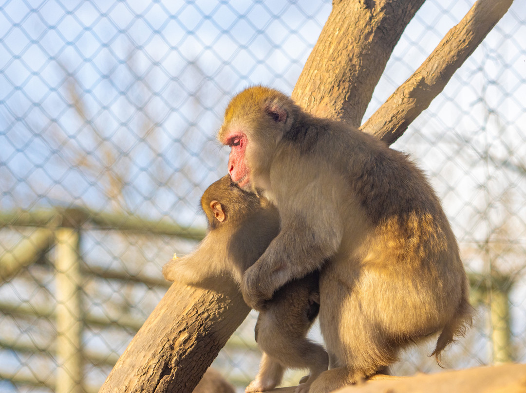 Parque natural de flora y fauna Dr. Talice-Trinidad必去景点