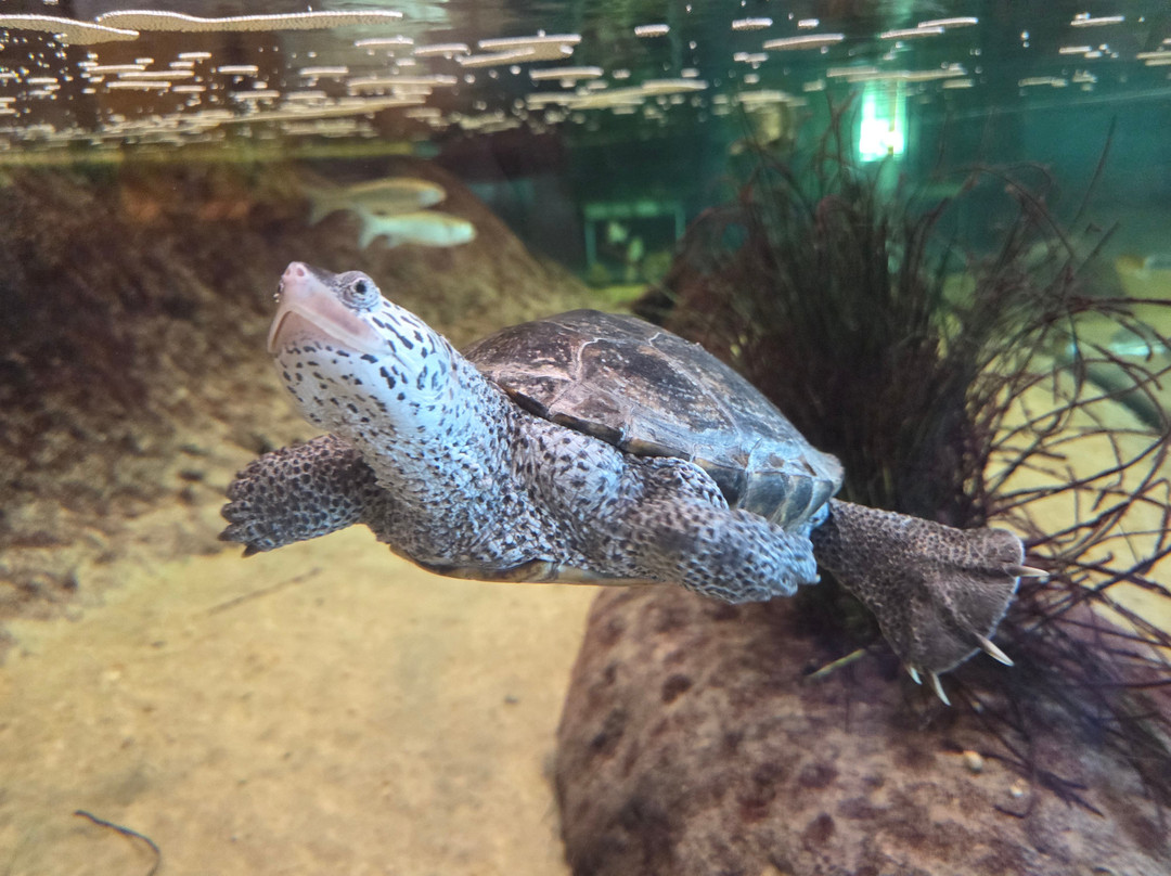 自由科学中心-泽西城必去景点