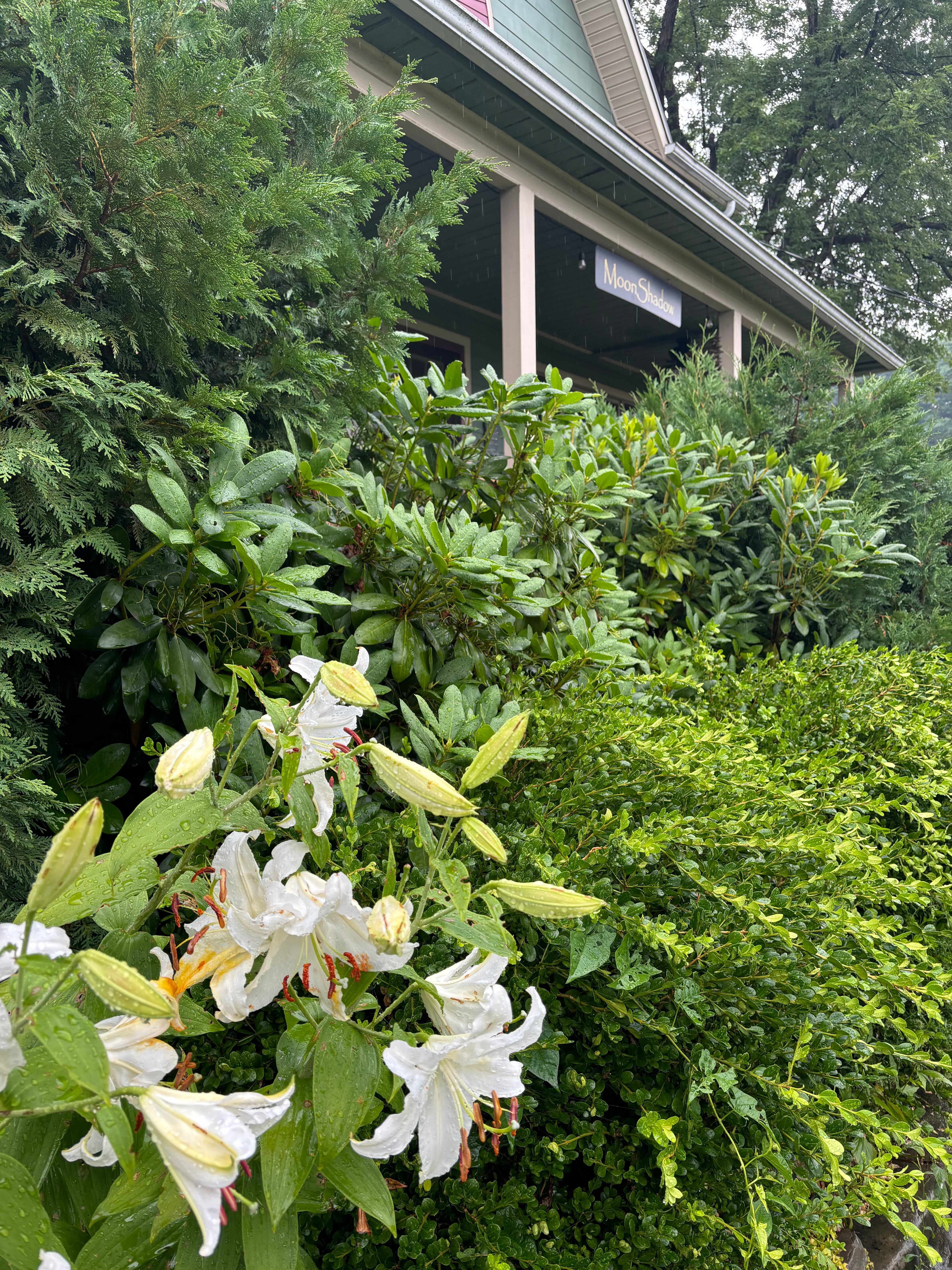 Moonshadow B&B-浴室