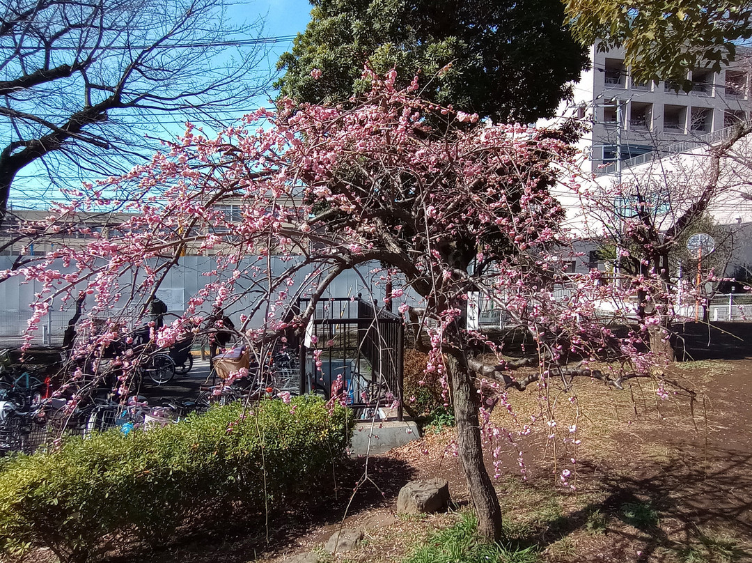 Hanegi Park-世田谷区必去景点