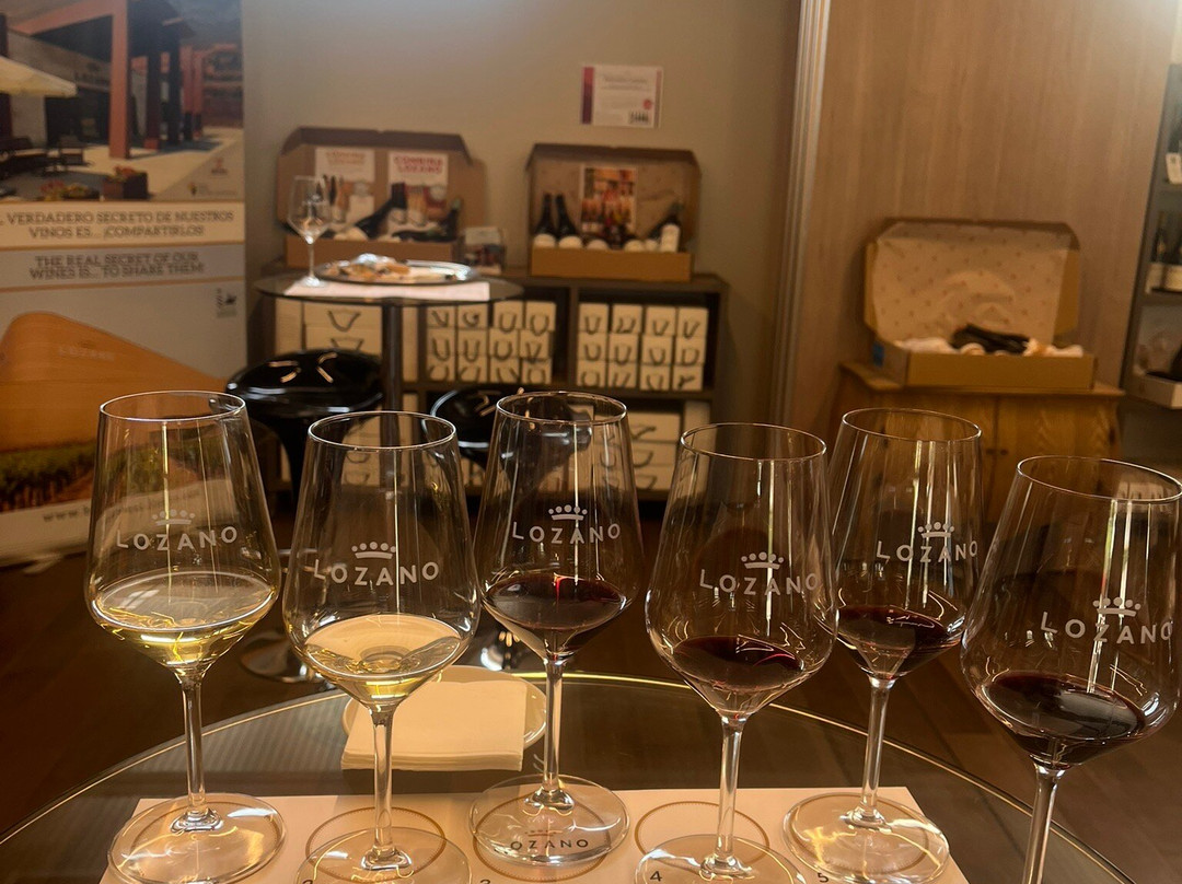 Bodegas Lozano-Leza必去景点