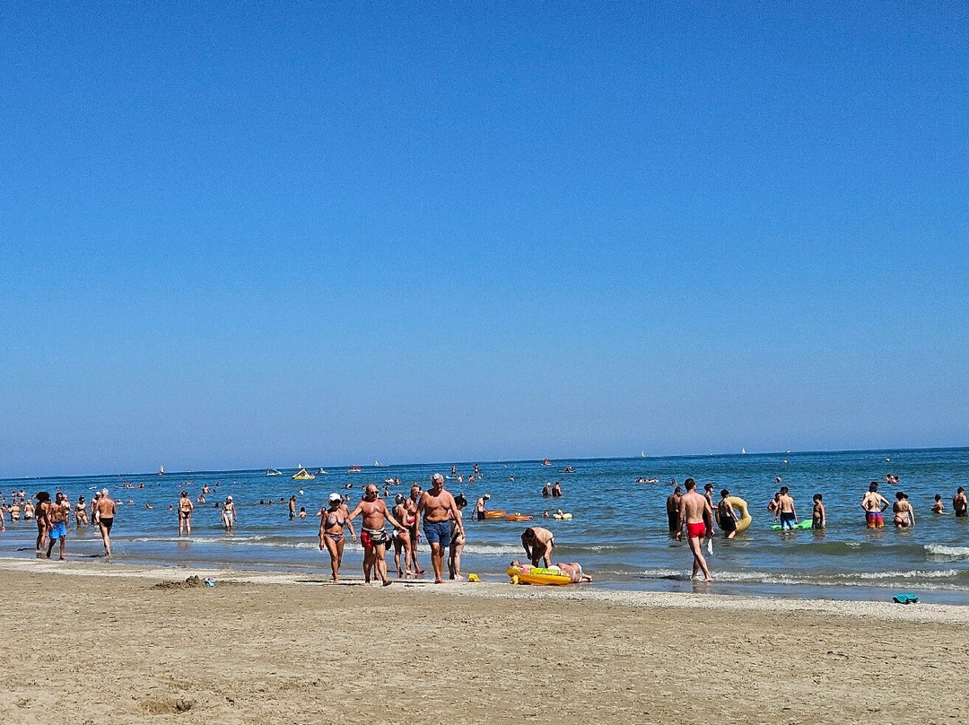 Rimini Dog No Problem - Bagno 81-里米尼必去景点