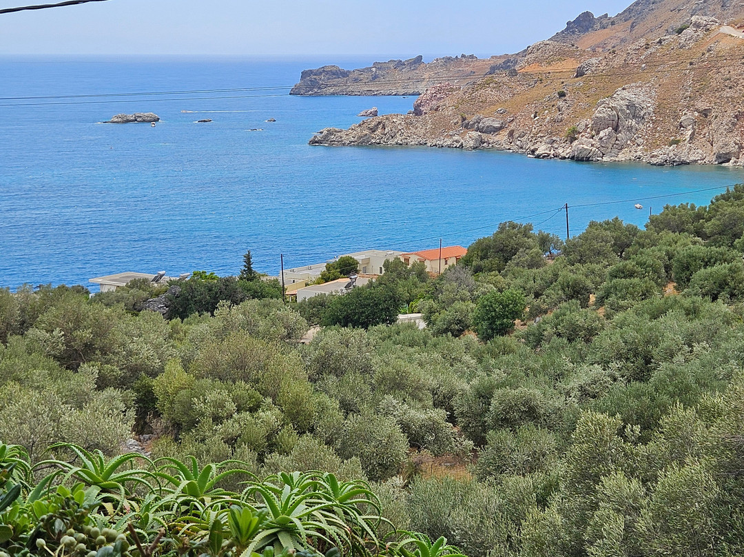 Nostalgia Apartments主图