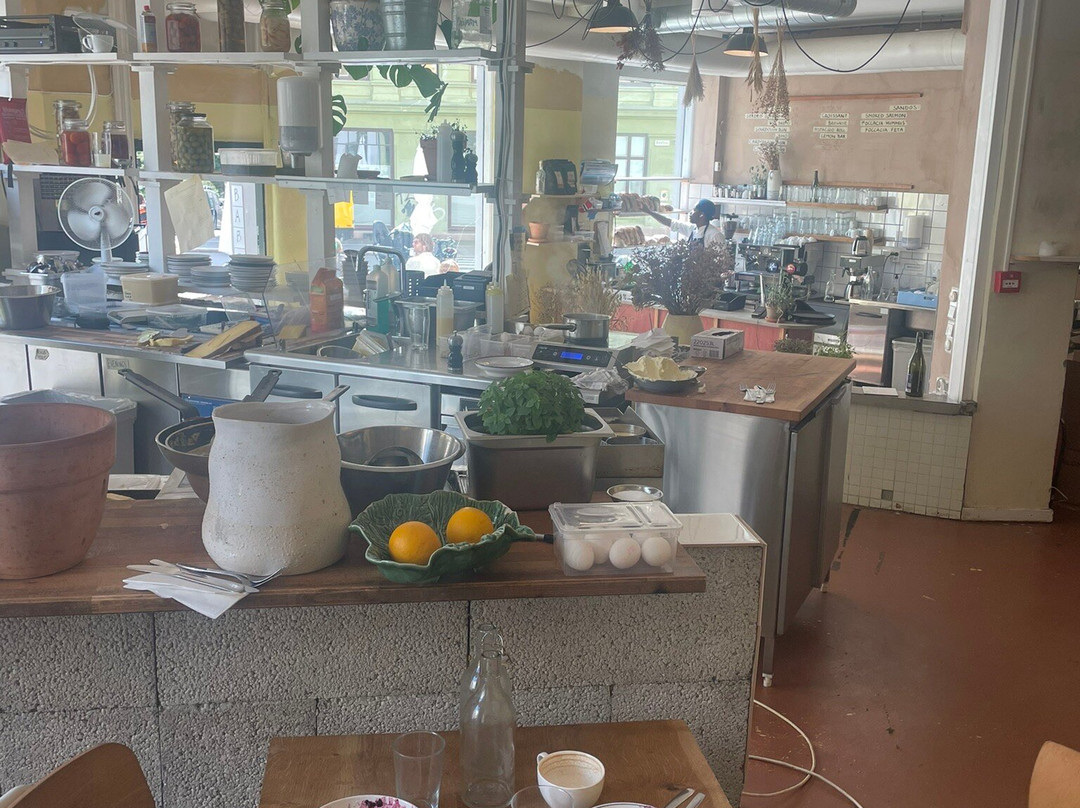 Babbo Collective Øvrefoss