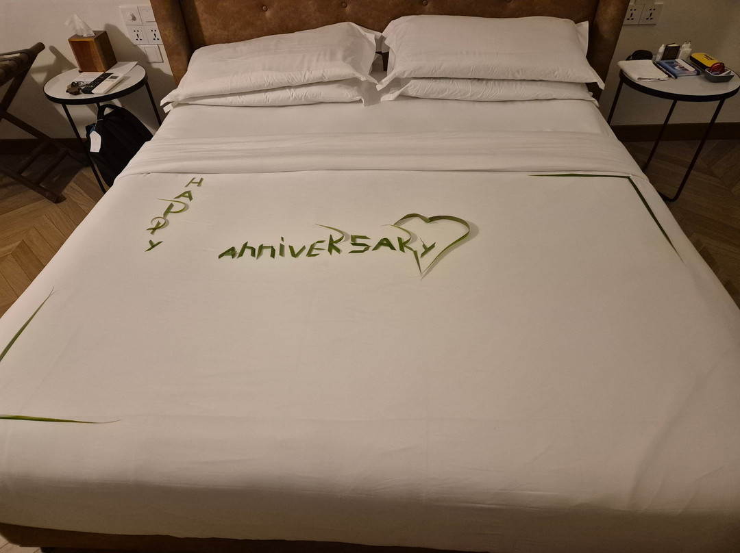 Joy Island Maldives by Cocoon Collection主图