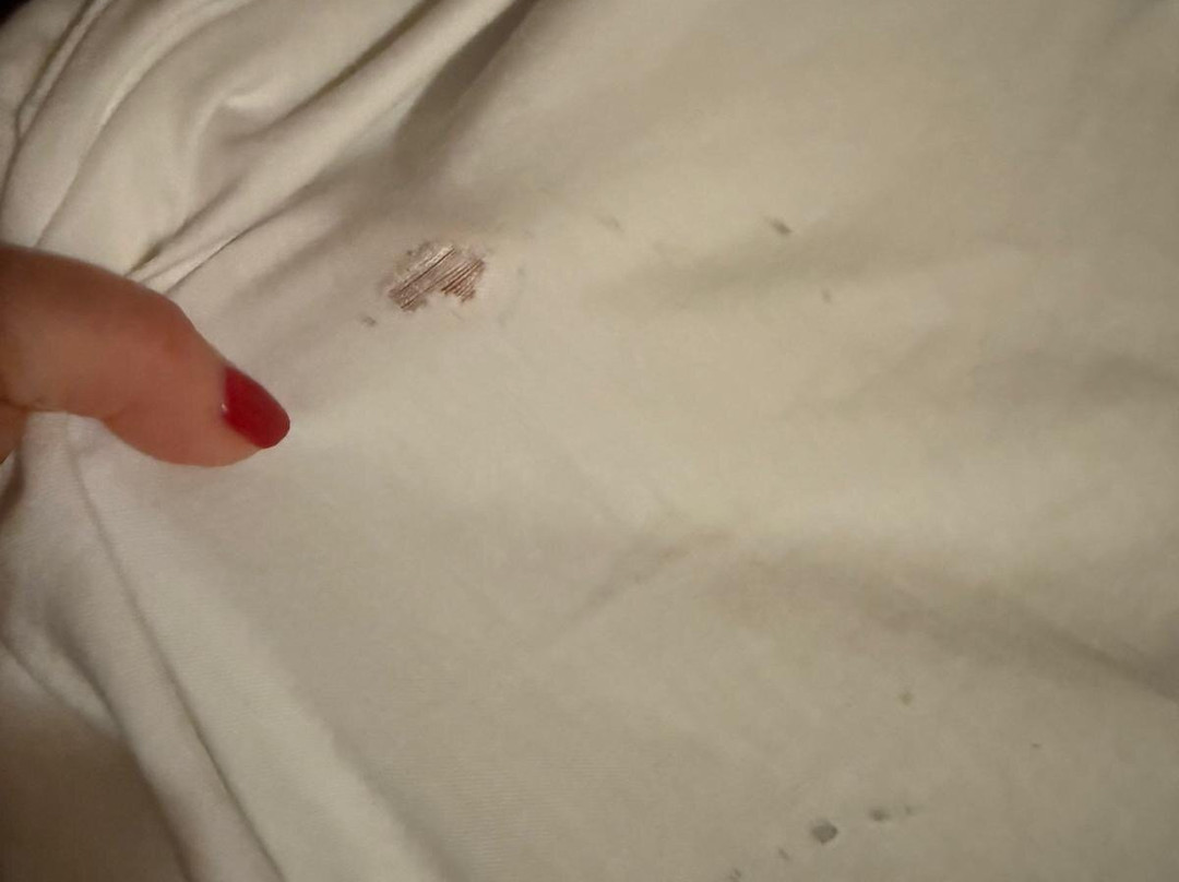 LOGE Alta Crystal主图