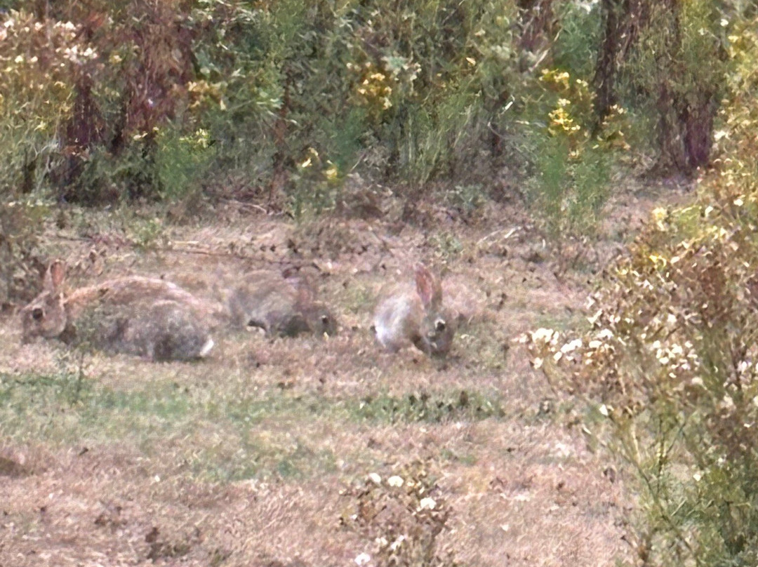 Days Inn by Wyndham Sutton Scotney South主图