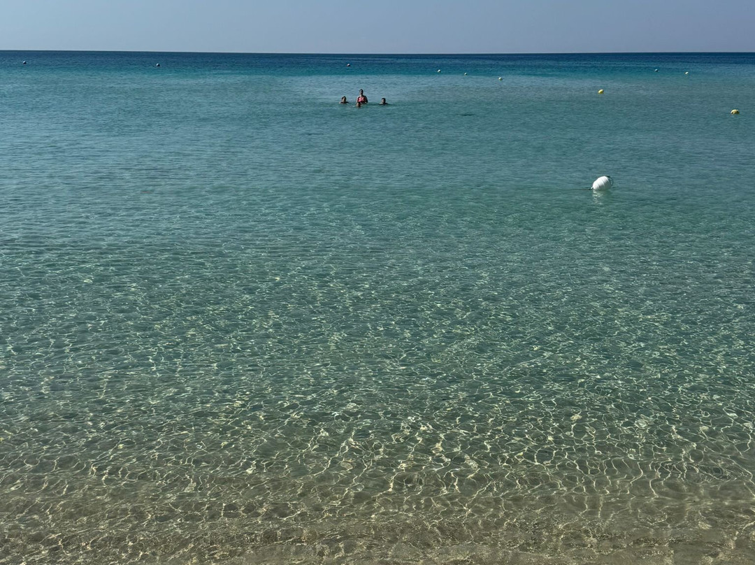 Samanà Beach-Punta Prosciutto必去景点