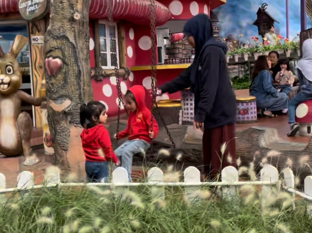 Cameron Lavender-碧兰璋必去景点