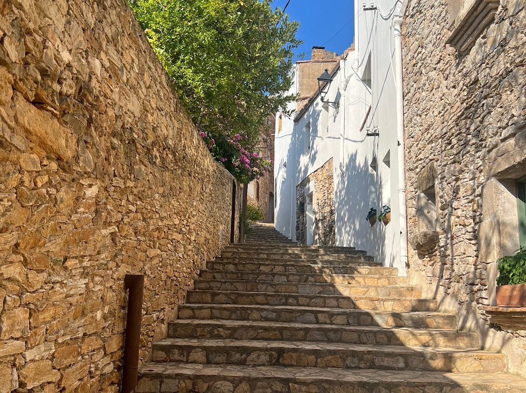 El Petit Convent主图