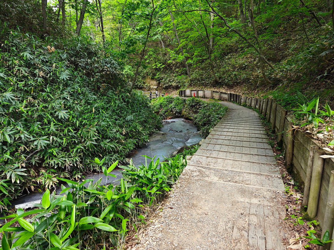 Oyunuma Observatory Promenade