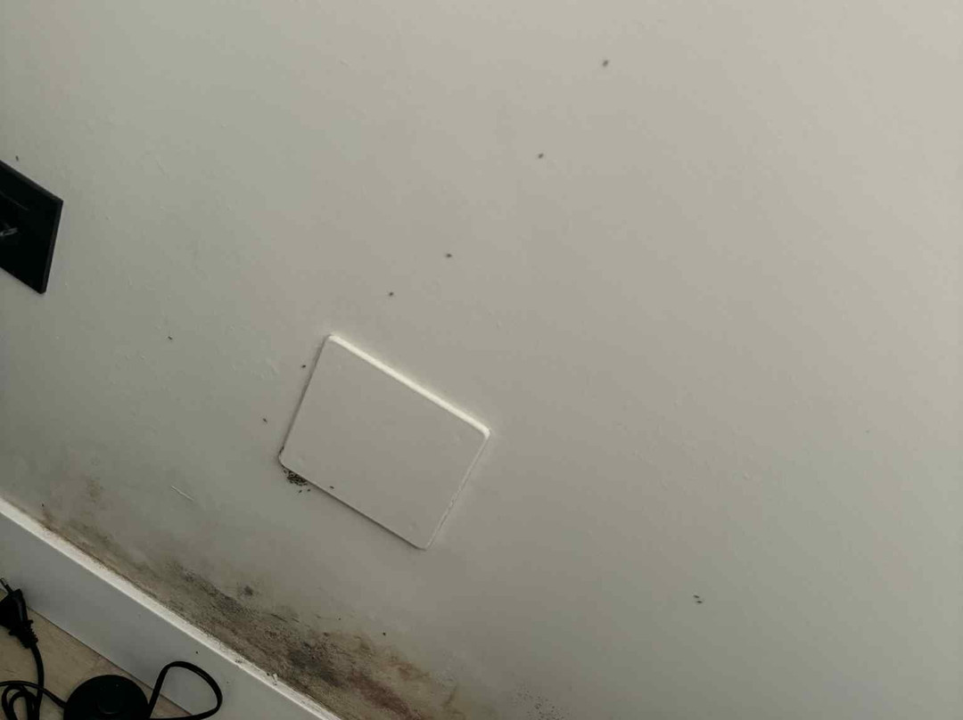 普恩特雷阿尔酒店主图