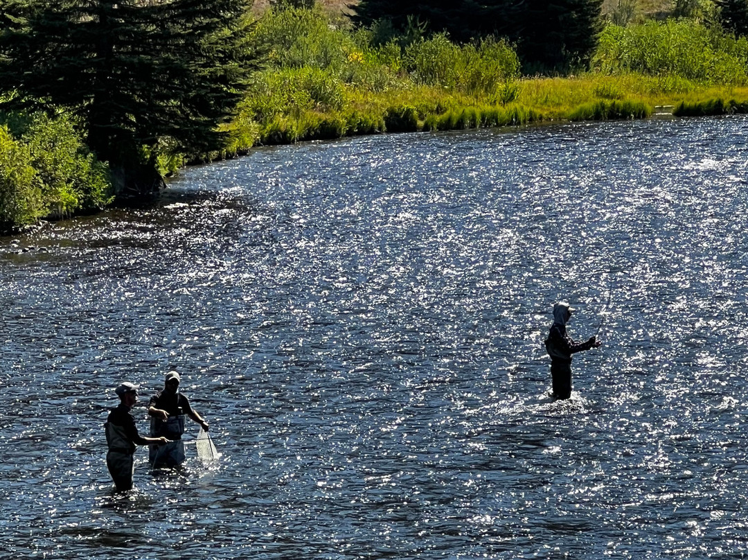 Arrick's Fly Shop, Inc.-西黄石镇必去景点