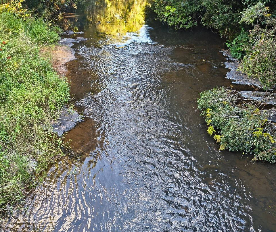 Zillie Falls-Millaa Millaa必去景点