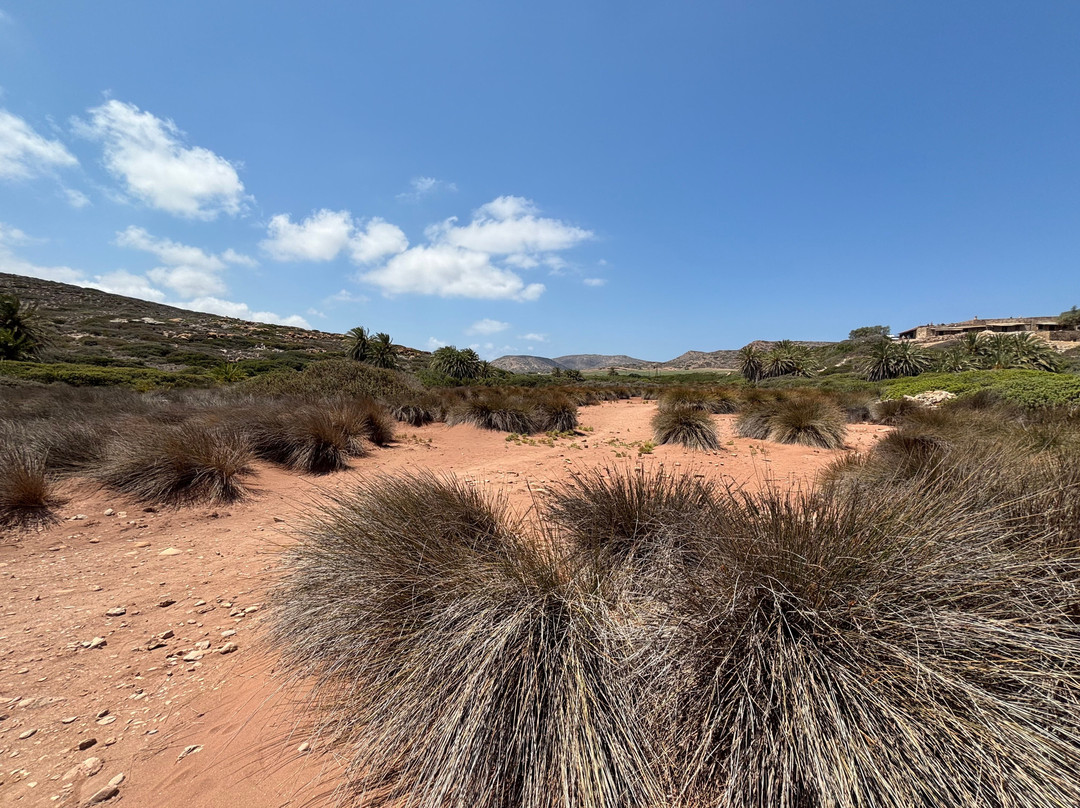 Itanos Beach-Lasithi Mesa必去景点