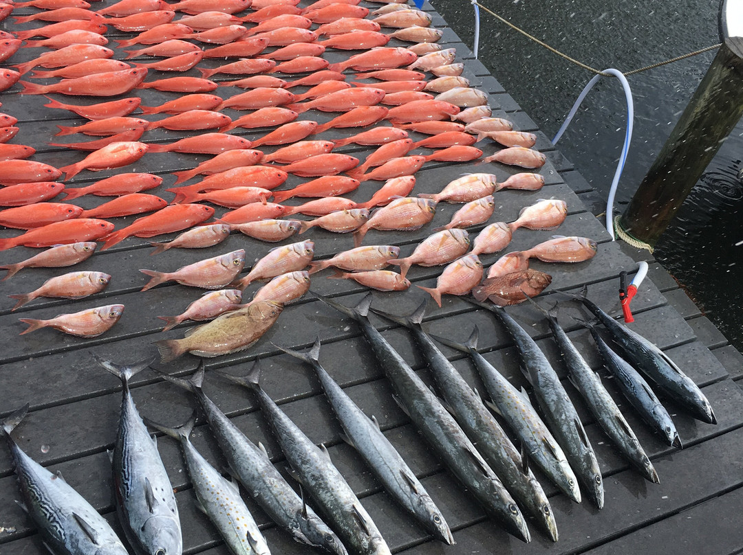 The Reel Contender Fishing Charter-巴拿马城海滩必去景点