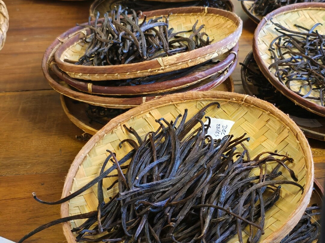 La Cooperative Provanille-Bras-Panon必去景点