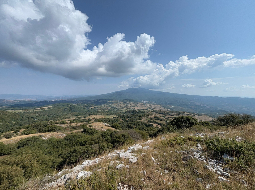 Monte Amiata Wildlife Park-Arcidosso必去景点