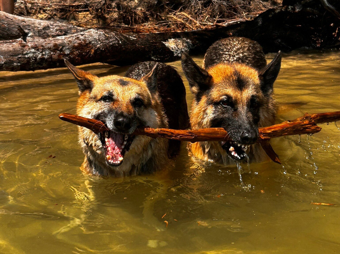 Eclectic Sun LLC-Salem必去景点