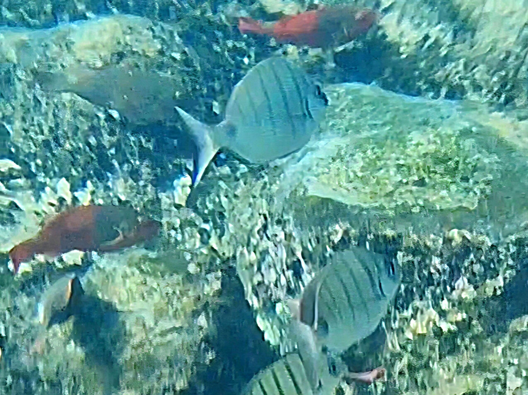 Playa De Montaña Roja-布兰卡滩必去景点