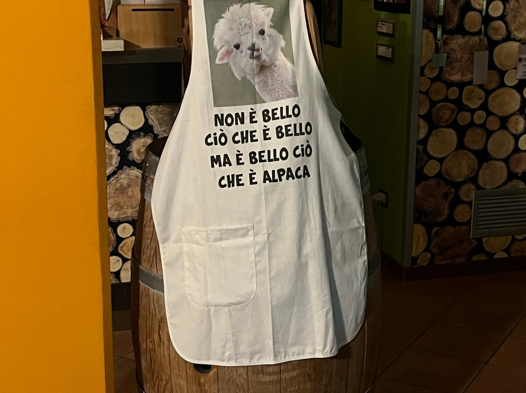 Agriturismo il Podere di Vedelago主图