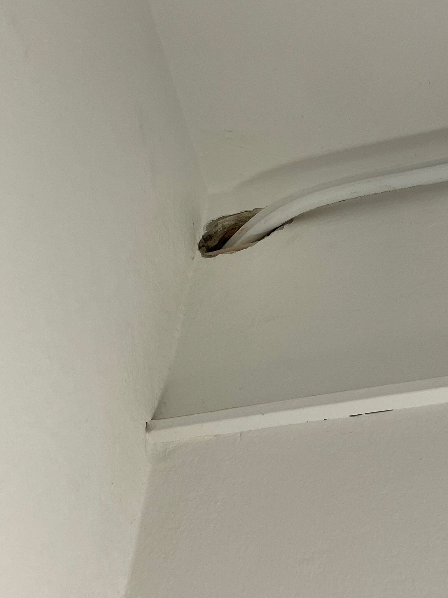 维尔德海岸酒店-官方