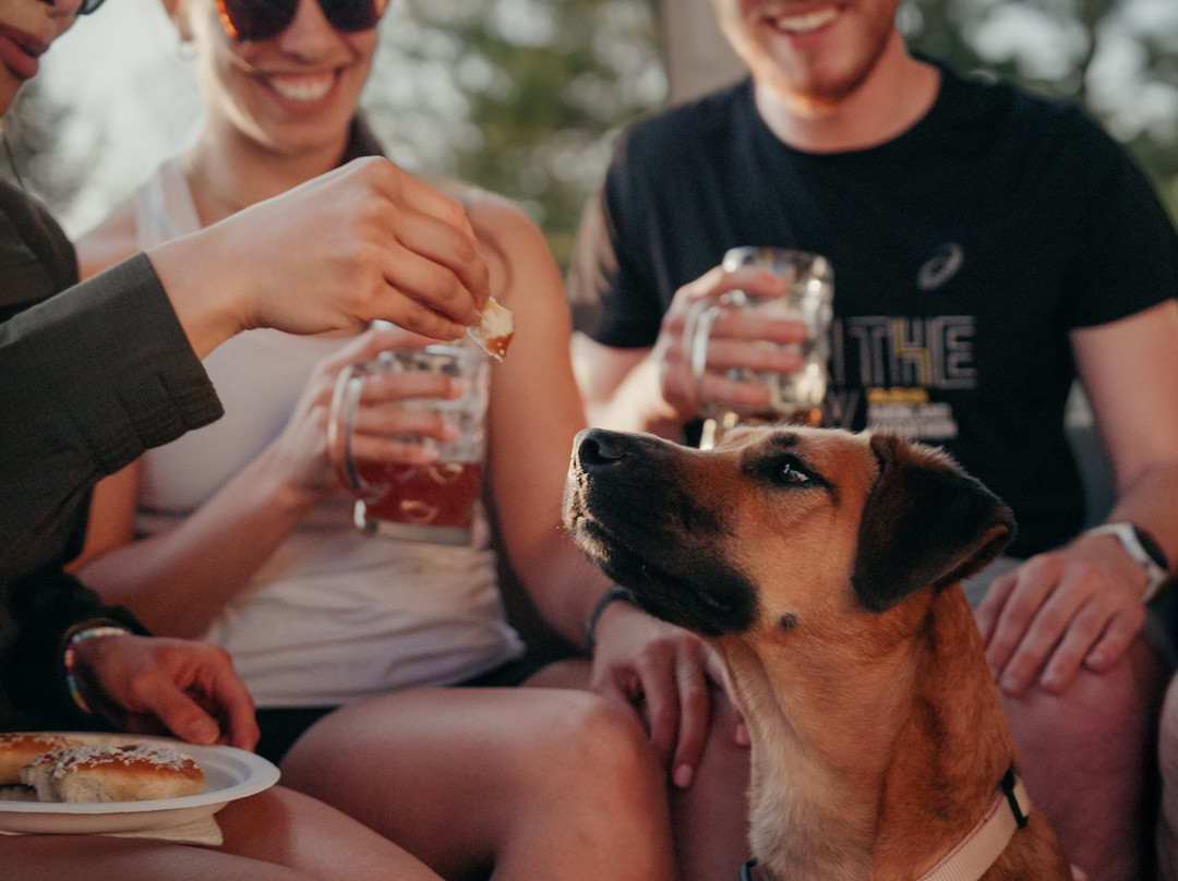 Natural State Beer Company-罗杰斯必去景点