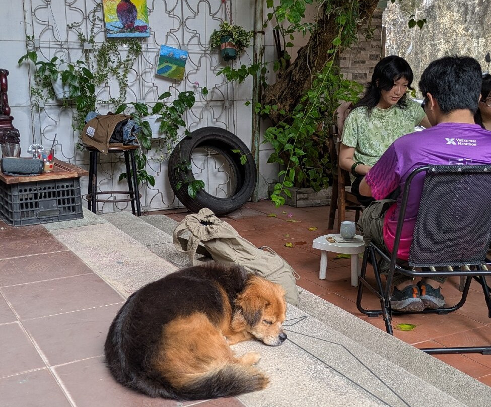 Sweetie Lemon - Vegetarian Fusion, Coffee & Bakery主图