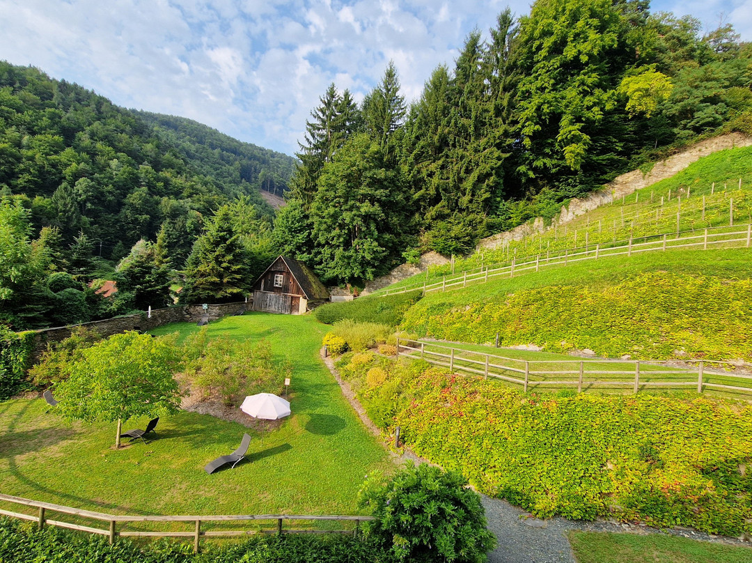 Heilmoorbad Schwanberg主图