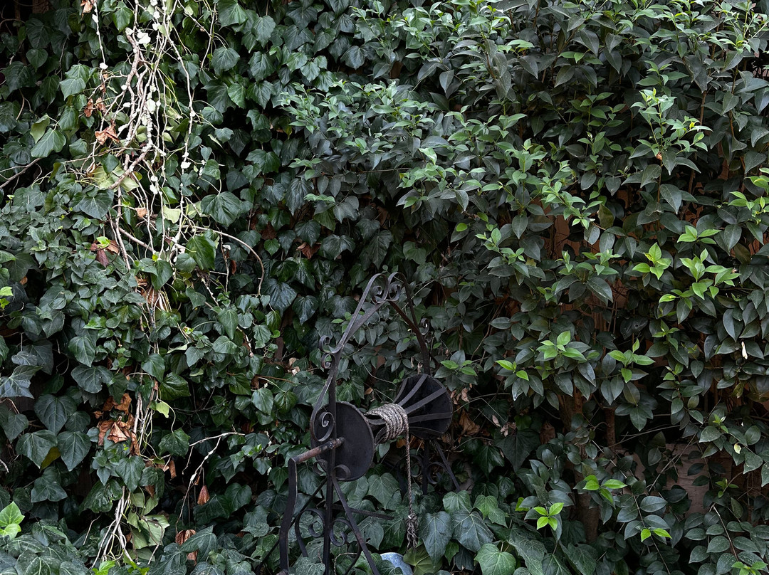 Ktima Palivou-Nemea必去景点