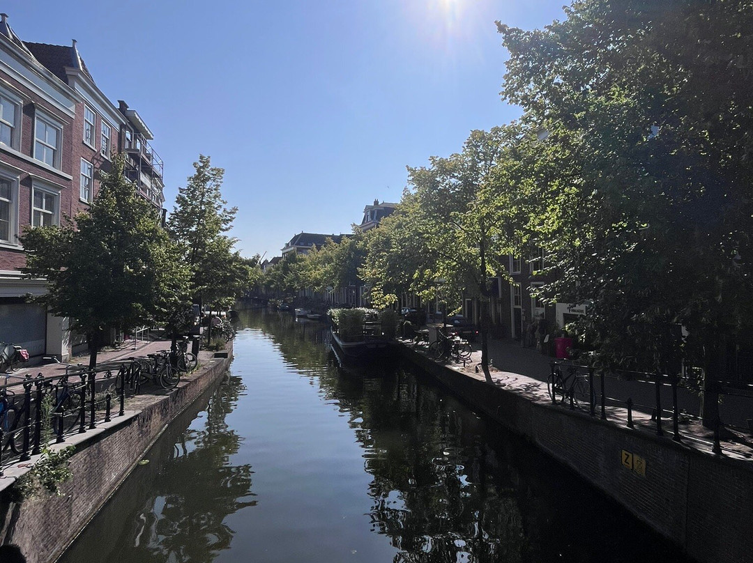 Leiden Street Market-莱顿必去景点