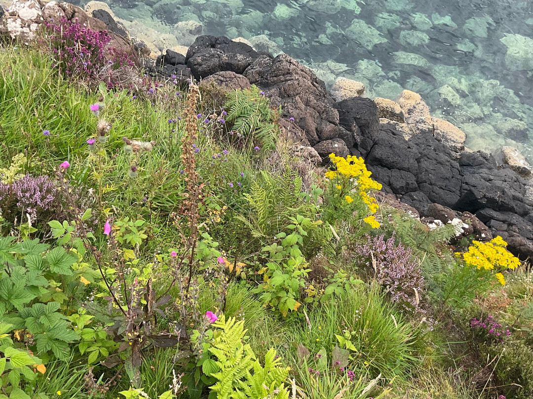 Tobermory Lighthouse