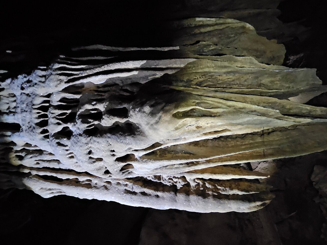 Manambolo River-Tsingy de Bemaraha National Park必去景点