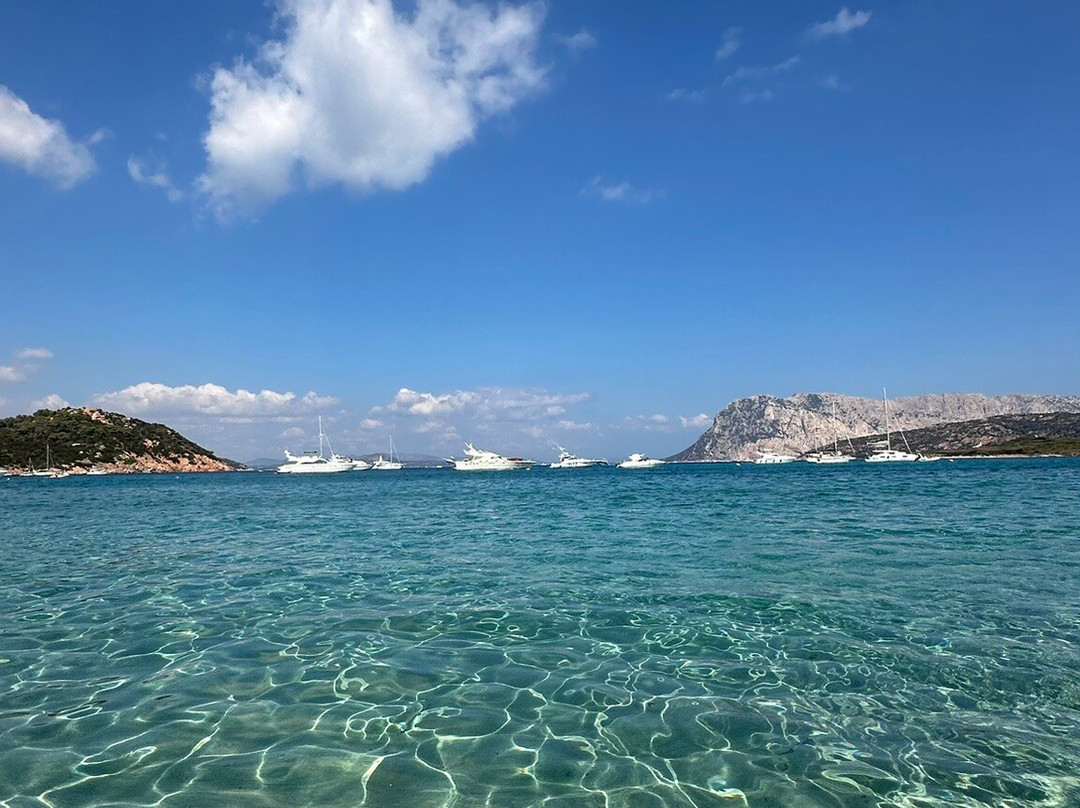 Spiaggia Capo Coda Cavallo-San Teodoro必去景点