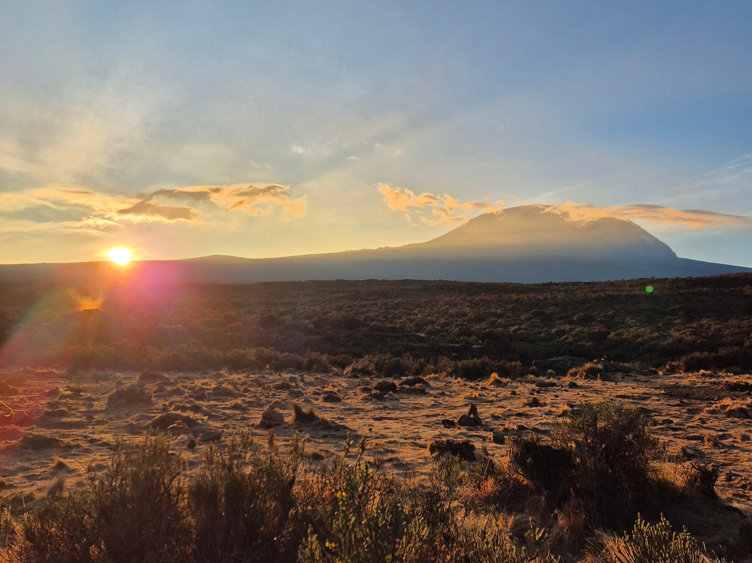 Kilimanjaro Trip-乞力马扎罗山国家公园必去景点