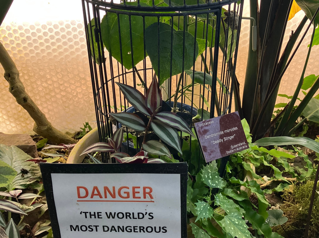 Lullingstone Castle & The World Garden-Eynsford必去景点