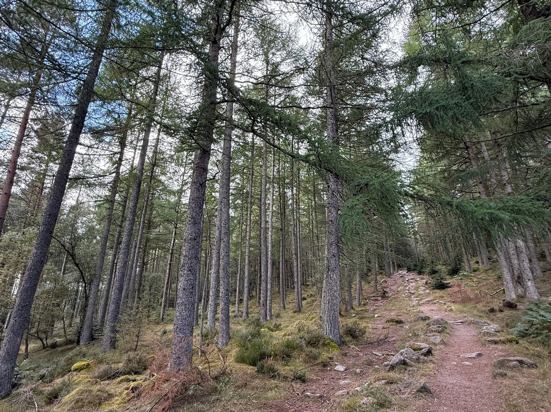 Bennachie Hill Walks-阿伯丁必去景点