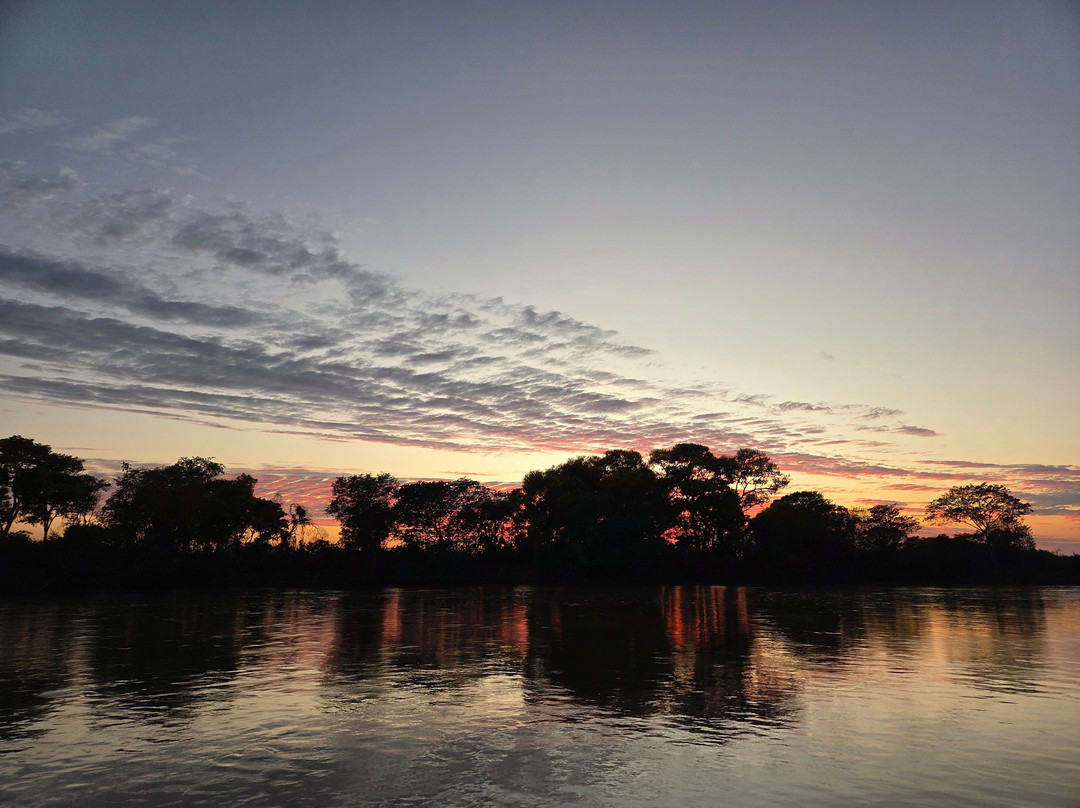 Olsen Photo Tours - Wildlife Experiences-Porto Jofre必去景点
