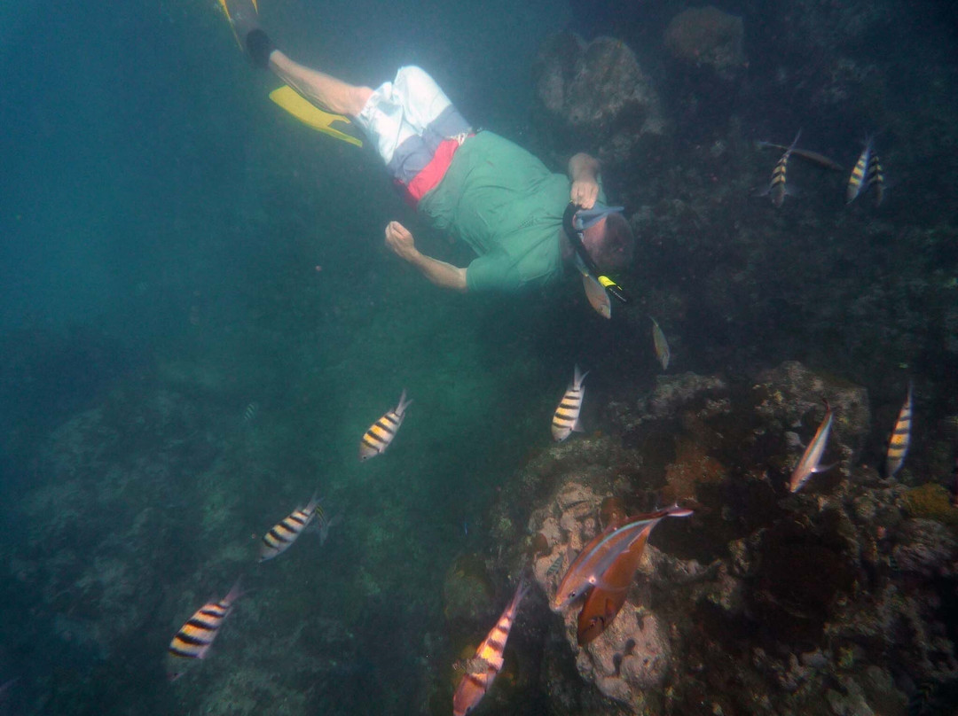 Divecenter Merlin-苏莎亚必去景点